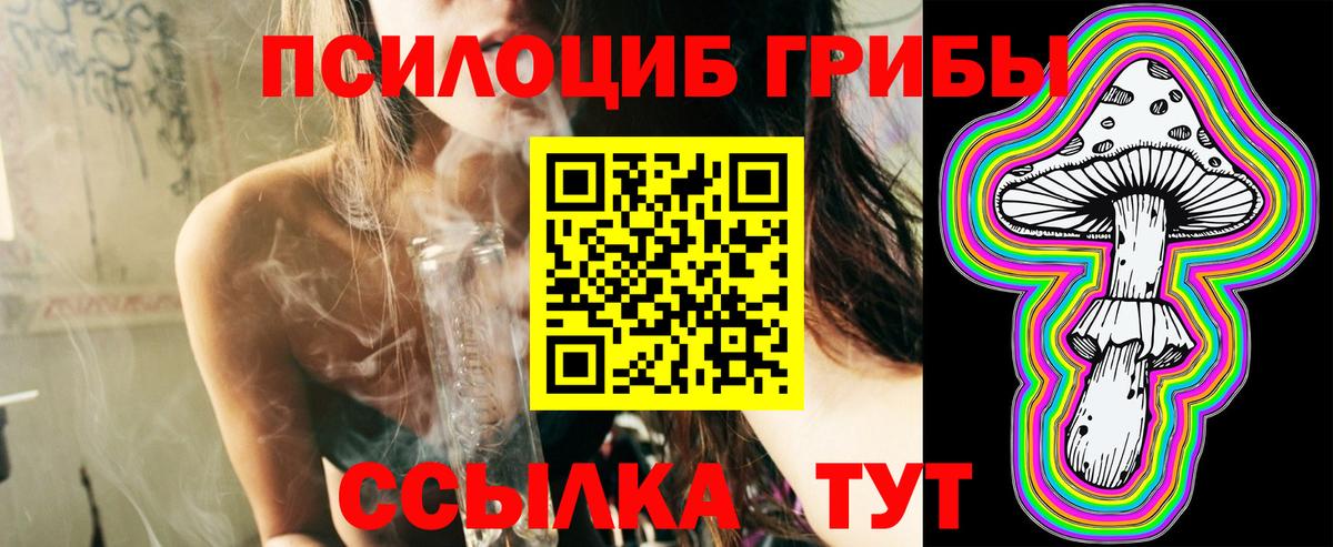 Галлюциногенные грибы мухоморы Южно-Сахалинск