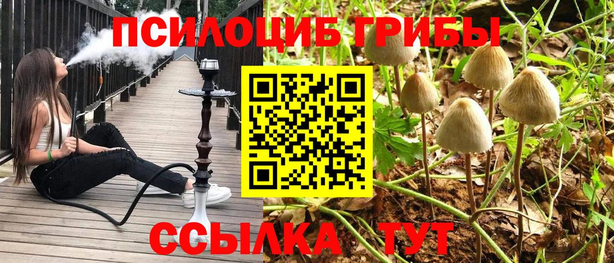 Южно-Сахалинск  Псилоцибиновые грибы мицелий  Галлюциногенные грибы MAGIC MUSHROOMS  Вход с VPN 